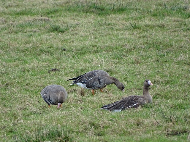 近年的NB 近年的NB