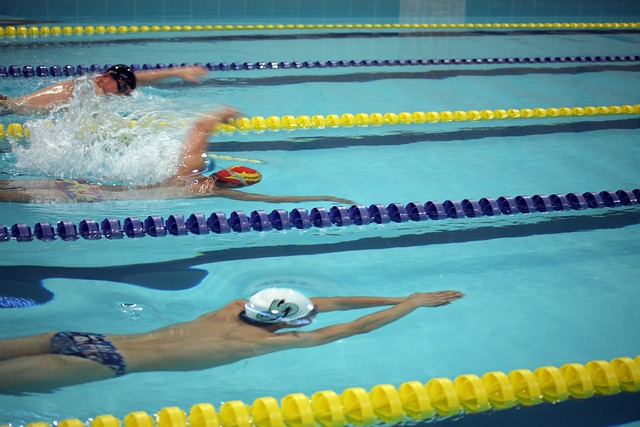 体系稳定性 体系稳定性