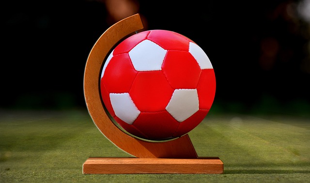 职业体育需 职业体育需