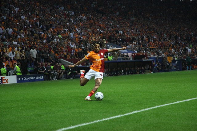 正如刘建宏 正如刘建宏