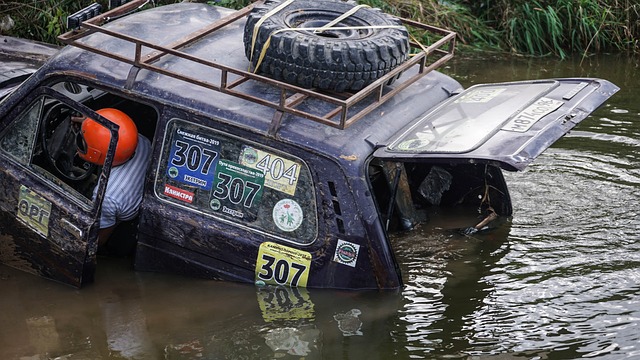 领域的意图 领域的意图