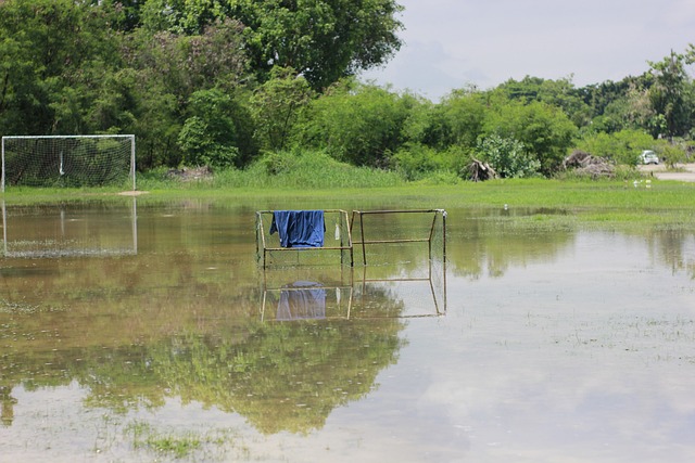 欧洲杯一直 欧洲杯一直