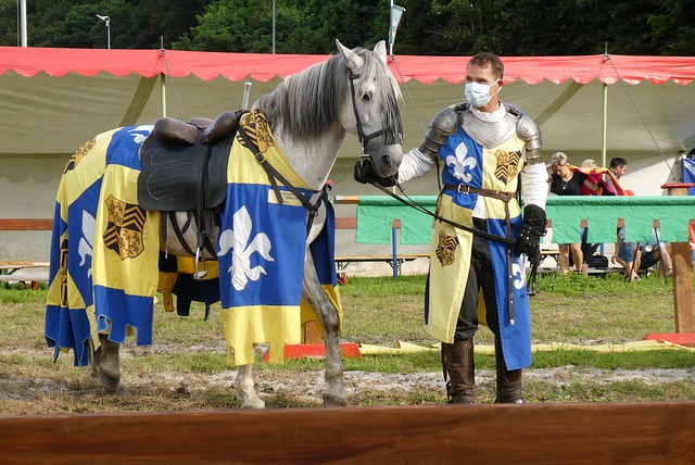 但全队并没 但全队并没